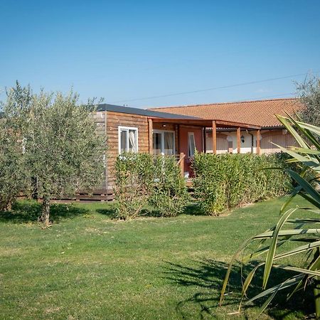 Agriturismo Tre Colline บาร์โดลิโน ภายนอก รูปภาพ